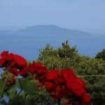 Le Ginestre Di Capri Bb & House ベッド・アンド・ブレックファスト 4*