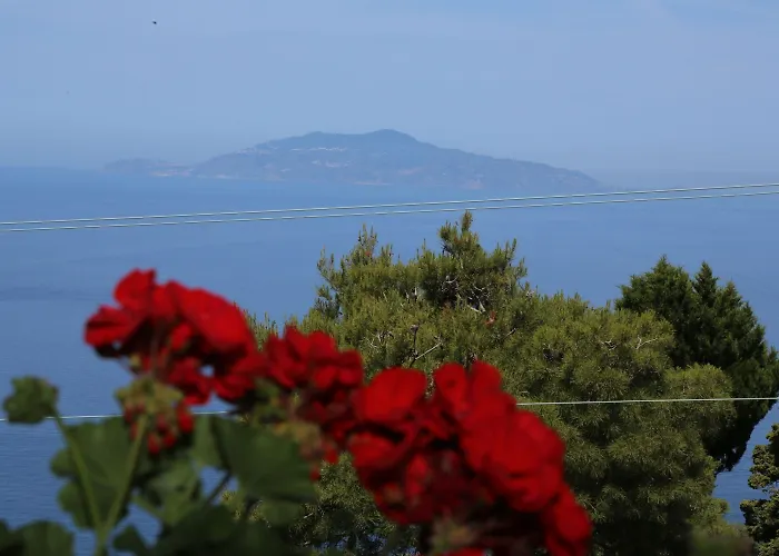 Le Ginestre Di Capri Bb & House Frühstückspension 4*