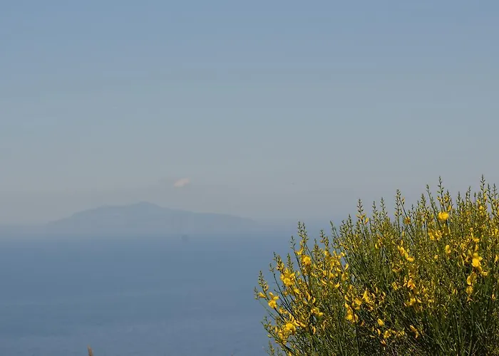 Frühstückspension Le Ginestre Di Capri Bb & House Anacapri (Isola di Capri)