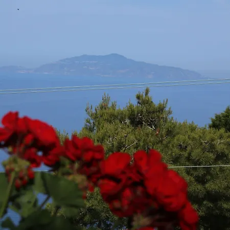 Le Ginestre Di Capri Bb&holiday House Bed & Breakfast 4*