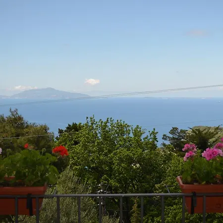 Le Ginestre Di Capri Bb & House ベッド・アンド・ブレックファスト