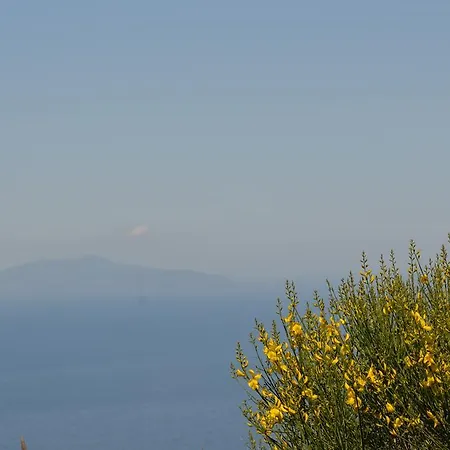 Bed and breakfast Le Ginestre Di Capri Bb & House Anacapri (Isola di Capri)