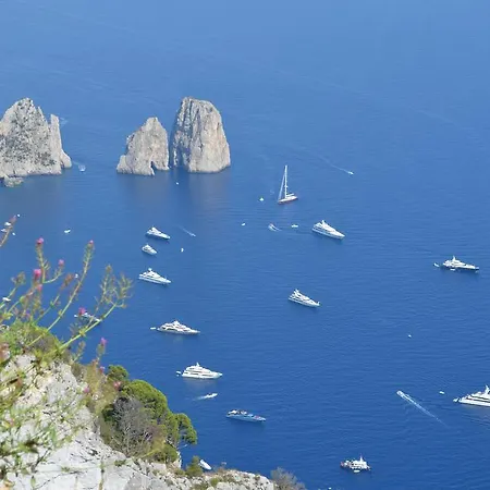 Bed and breakfast Le Ginestre Di Capri Bb & House Anacapri (Isola di Capri)