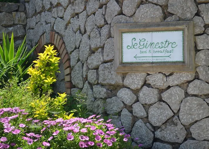 Le Ginestre Di Capri Bb & House