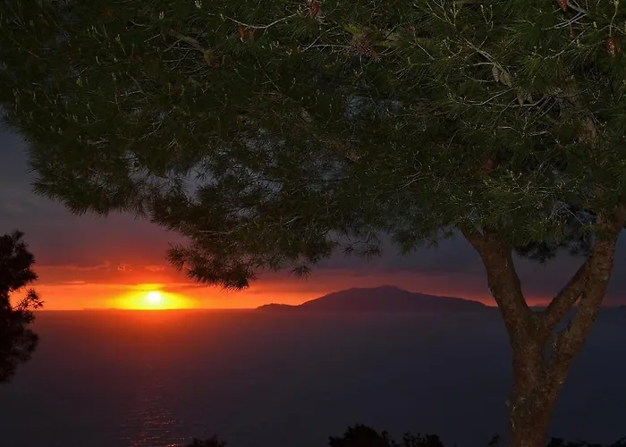 Le Ginestre Di Capri Bb & House 3*